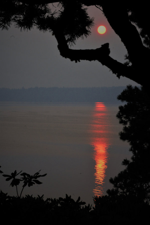 An August sunset tinged with the smoke of wildfires, looking west across Case Inlet. Photo: Steve West