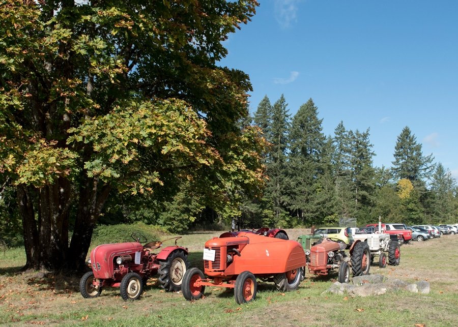 Antique tractors at Longbranch Improvement Club, which hosted the Fiber Arts Festival. Photo: Ed Johnson, KP News