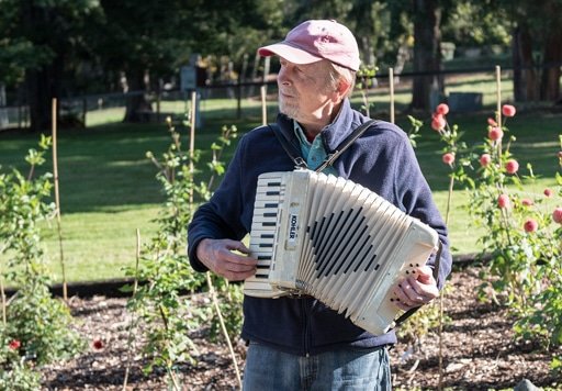 Mark Runyons entertains visitors to Faraway with his accordion. Photo: Ed Johnson, KP News