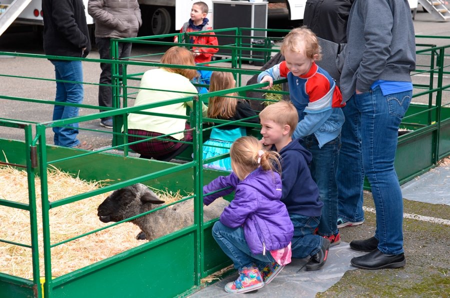 Evergreen Elementary students meet farm animals as part of their school day on April 3.Photo: Lisa Bryan, KP News