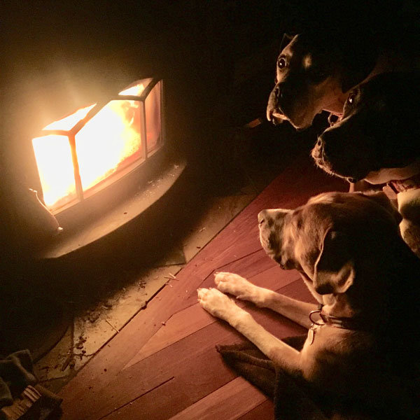 A very warm three-dog night. Photo: Larry Buck