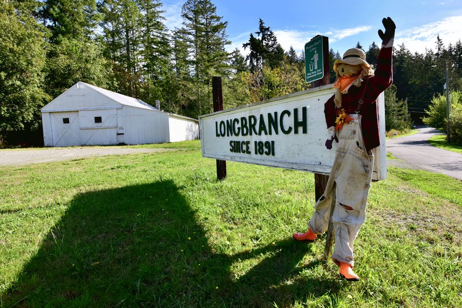 Scarecrows invaded all the way to Longbranch.