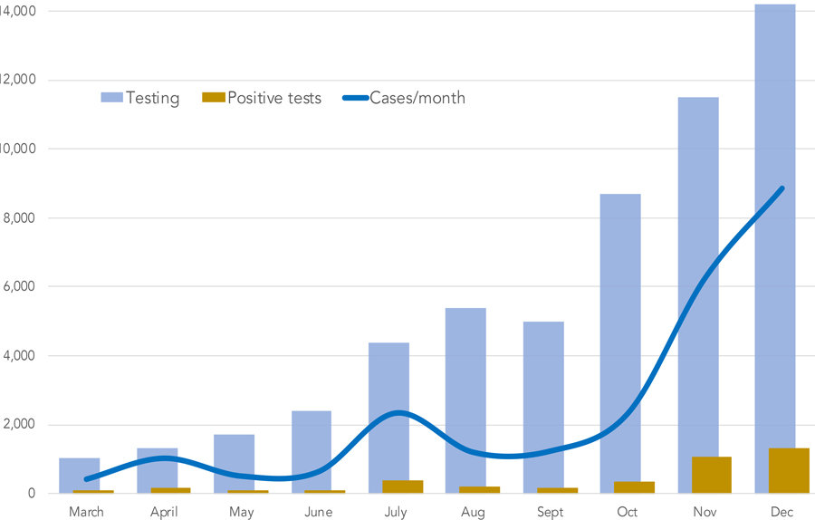 Growth of confirmed new cases (blue line) slowed in December while testing (blue bars) increased. Positive results (gold bars) are found in slightly more than 9% of tests, similar to January's rate. To determine eligibility for the vaccine, go to the Washington Dept. of Health online survey at form.findyourphasewa.org.