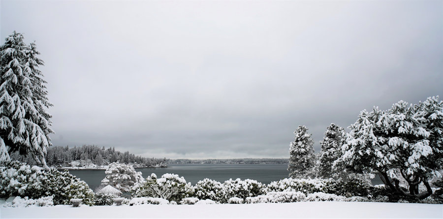 Snowy scene overlooking Case Inlet.