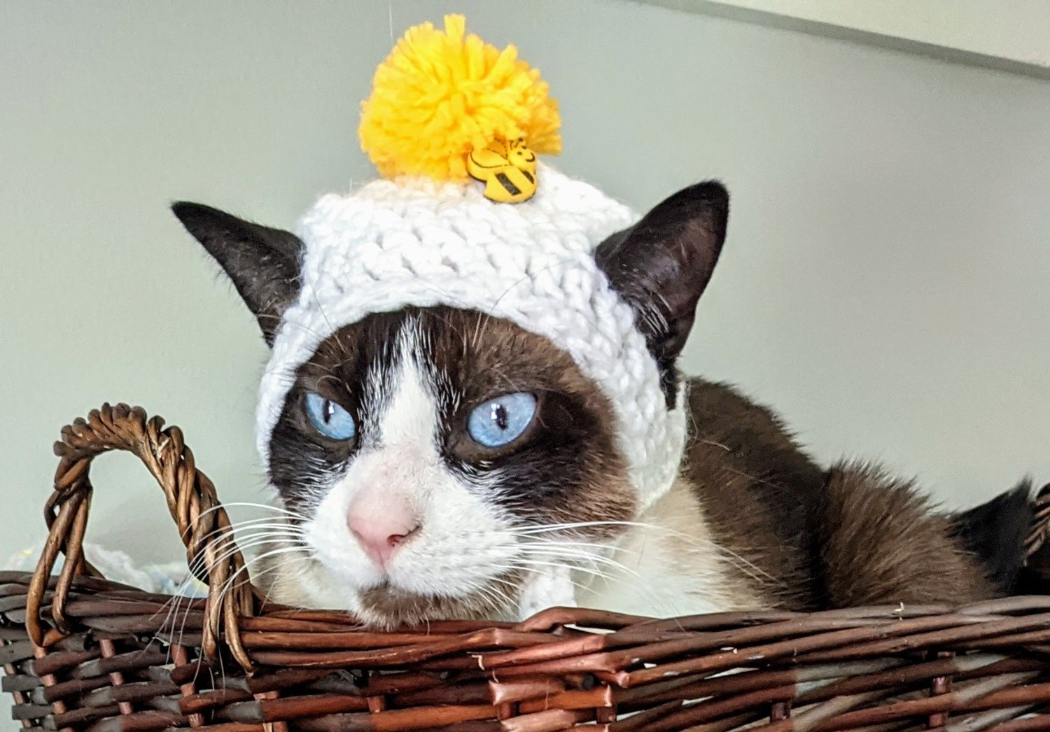 HENRY loves wearing his mom-knitted cap
