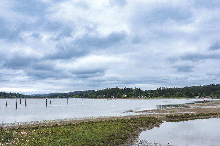 A view of Burley Lagoon during an outgoing tide as viewed from SR 302 along the Purdy Spit.