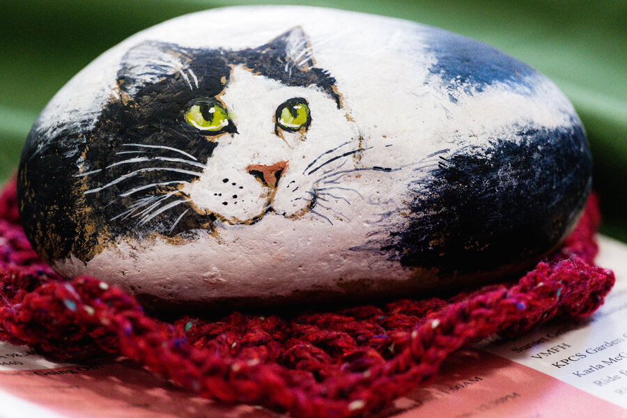 Just one of the cute pet rocks by artist Kathleen Best.
