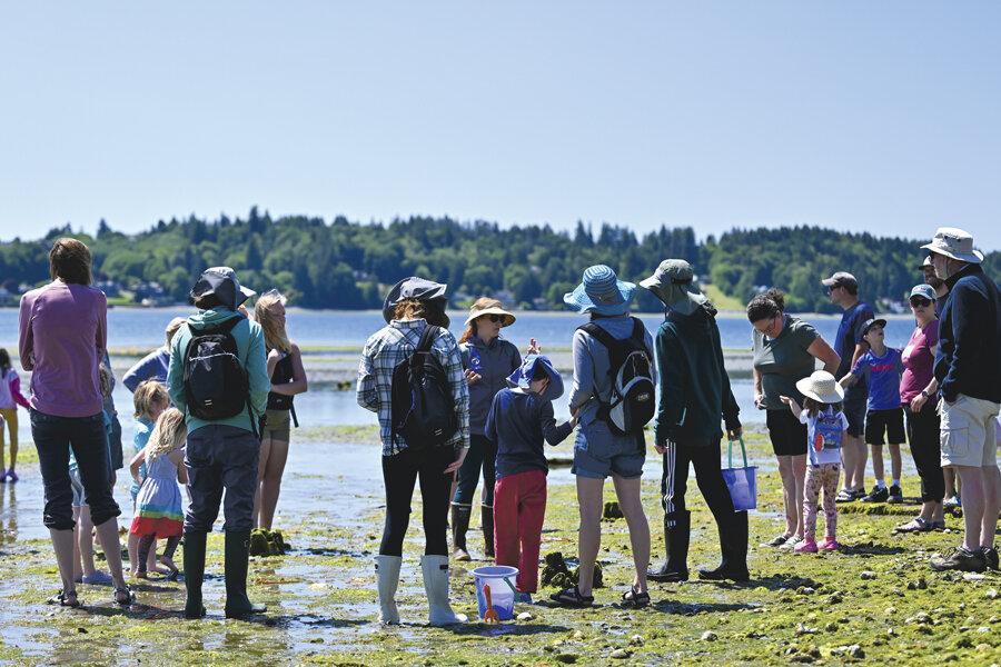 A Harbor WildWatch tour explores the Purdy Spit at low tide.