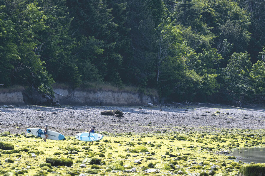 Paddleboarders hike during low tide at Joemma Beach.